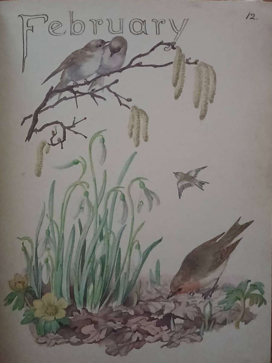 The Country Diary Of An Edwardian Lady