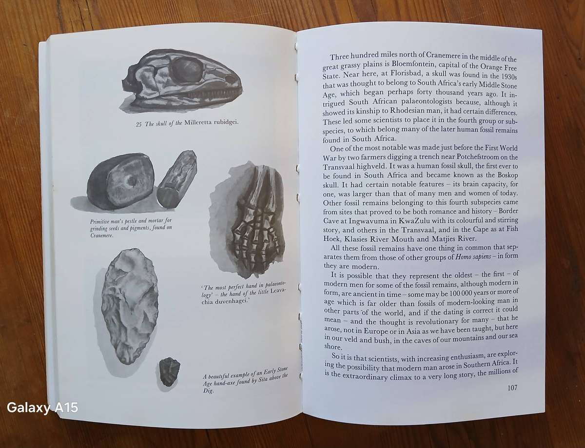 The plains of camdeboo