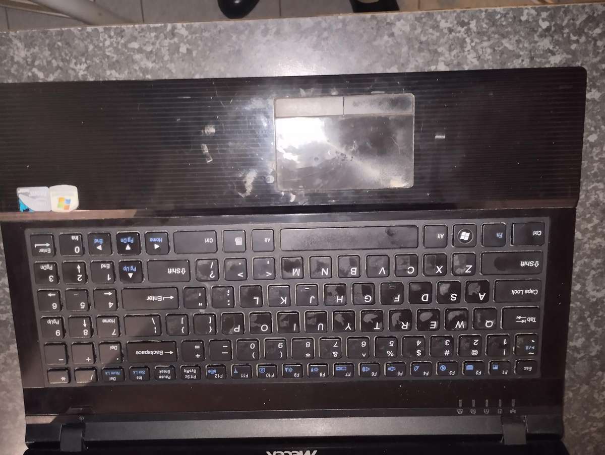 Mercer Xpression W251