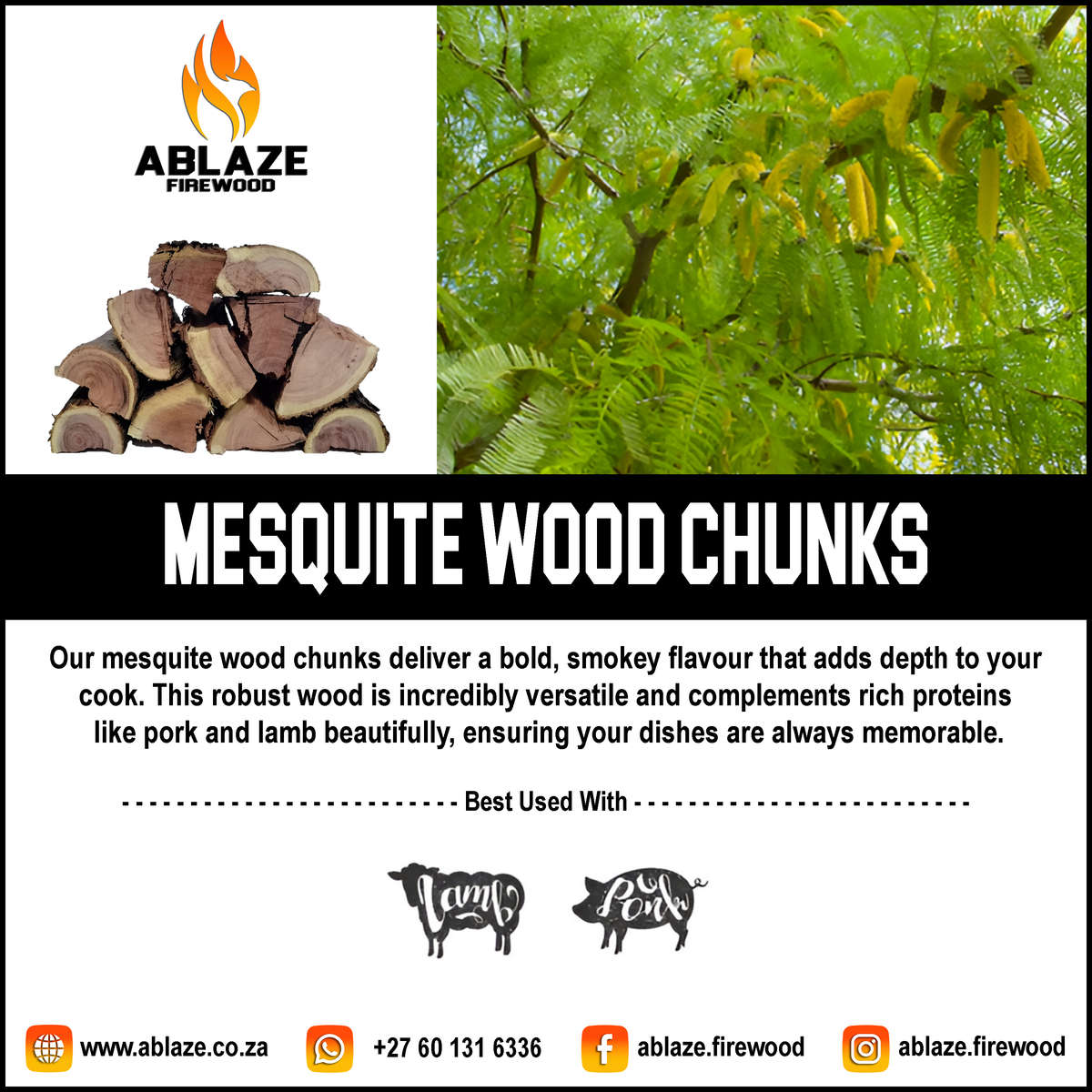 Mesquite Wood Smoking Chunks | Per Box