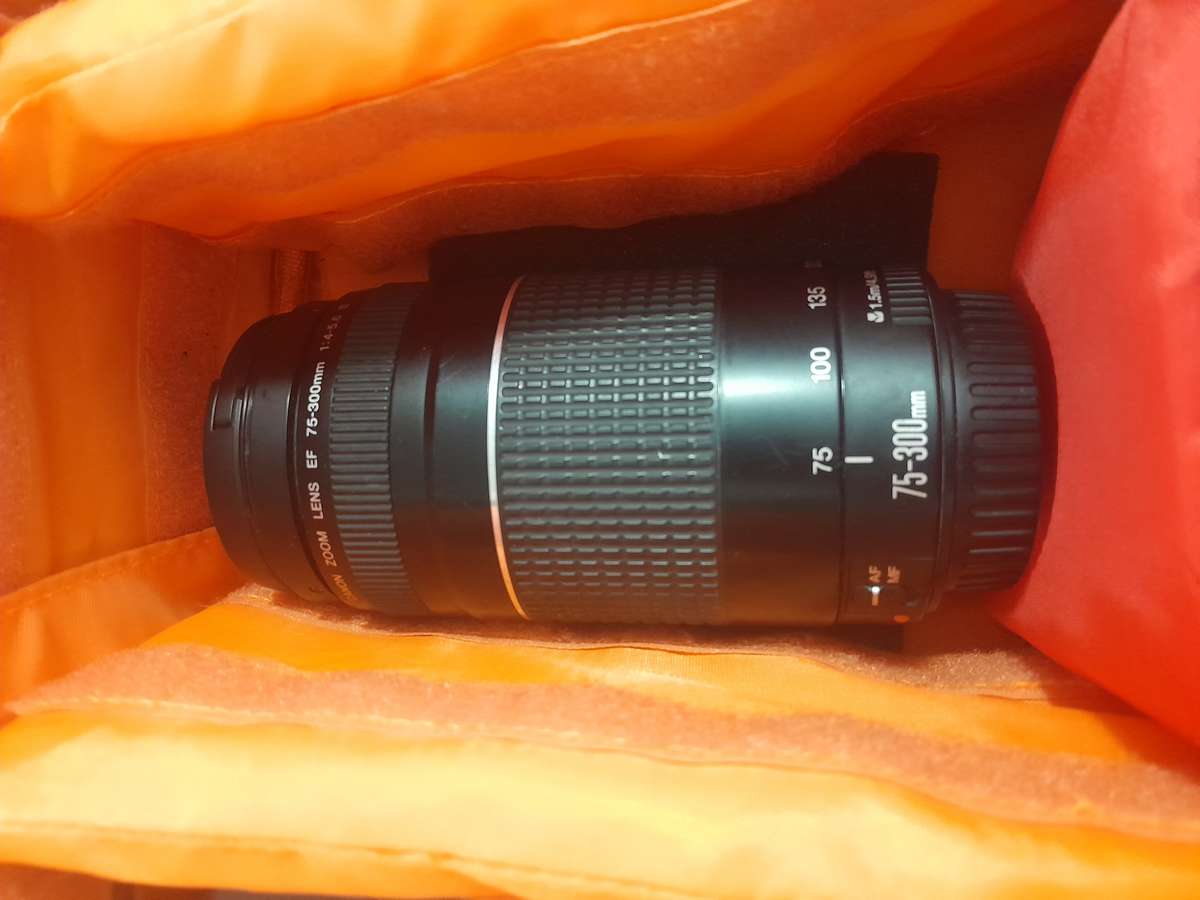 (Mint) Canon 4000d kit