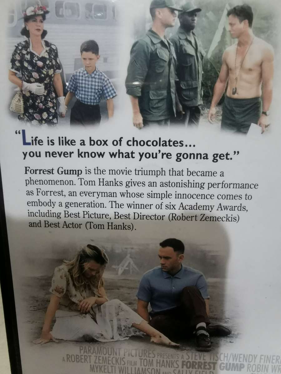 Special Collector's Edition of Forest Gump on DVD