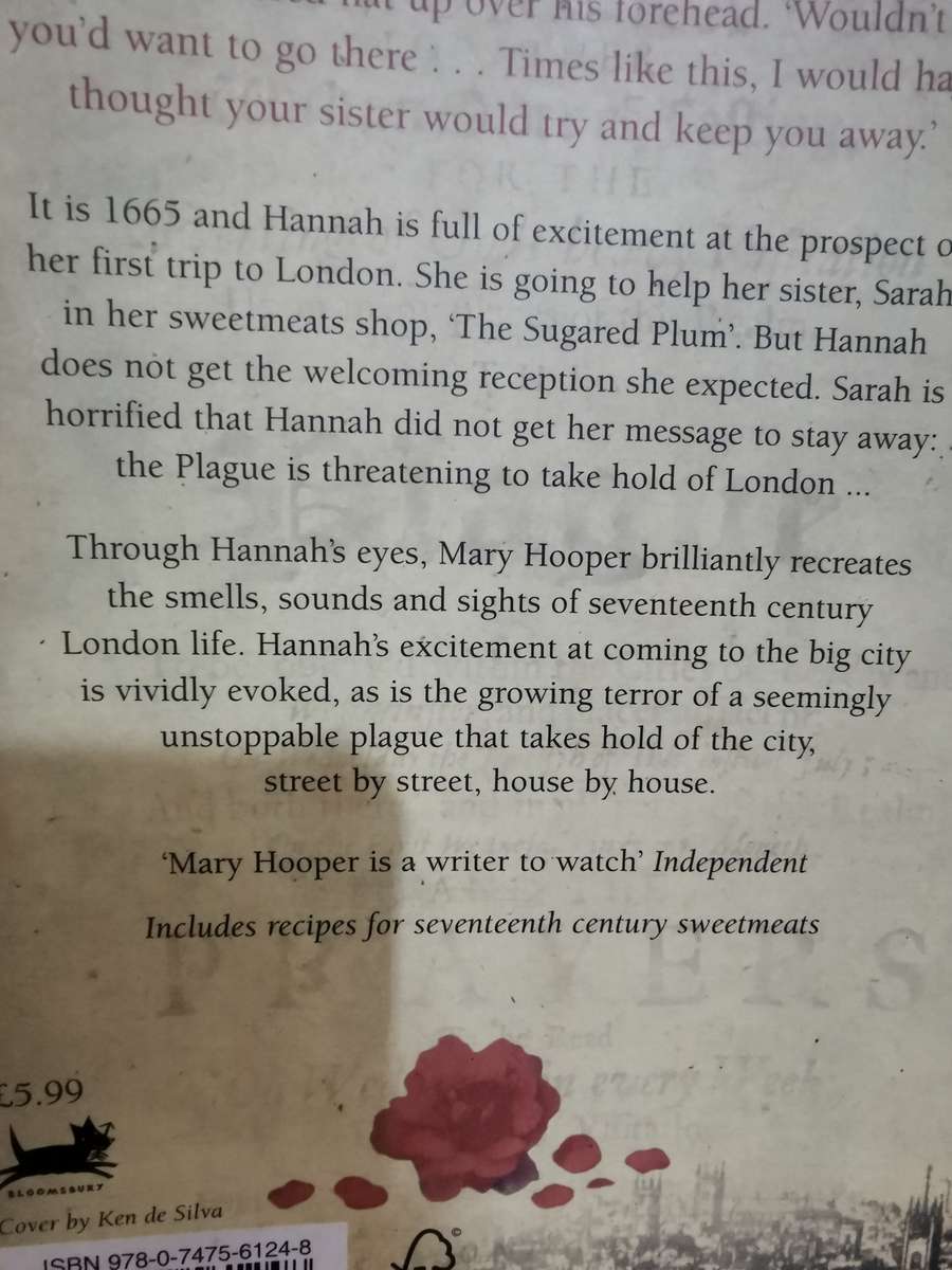 At the Sign of the Sugared Plum, novel by Mary Hooper