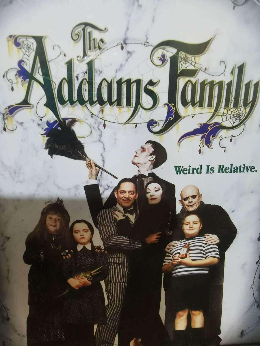 The Adams Family on DVD