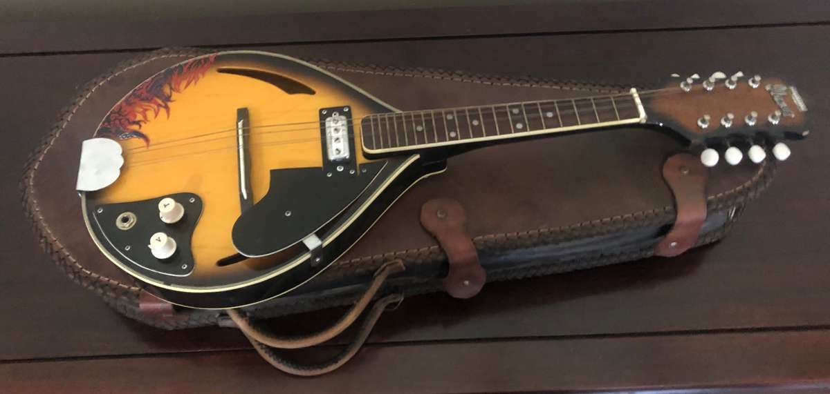 Electric Ibanez Mandolin