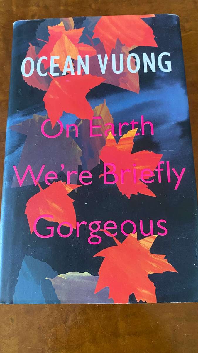 On Earth We're Briefly Gorgeous by Ocean Vuong - Secondhand Hardcover Novel