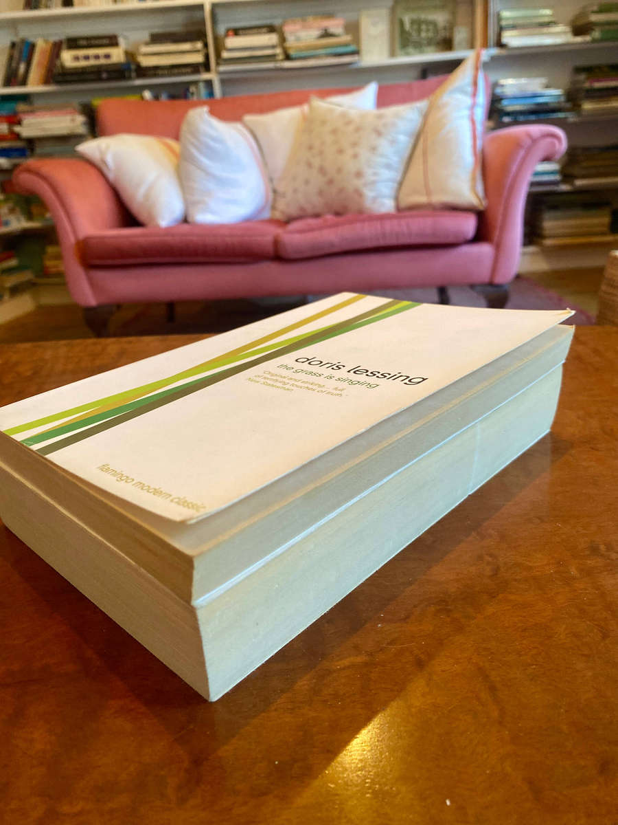 Doris Lessing Bundle: The Grass is Singing and The Diaries of Jane Somers