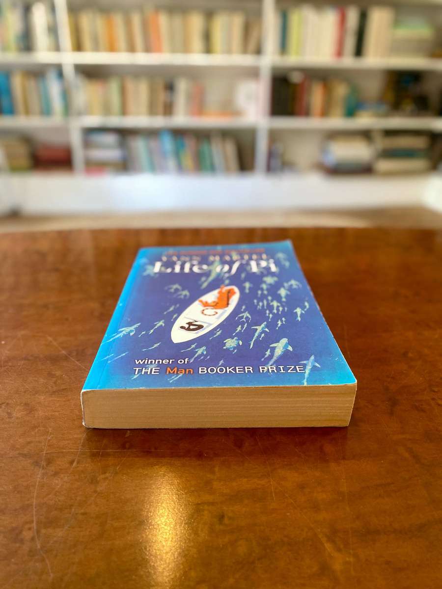 The Life of Pi by Yann Martel - Paperback Edition