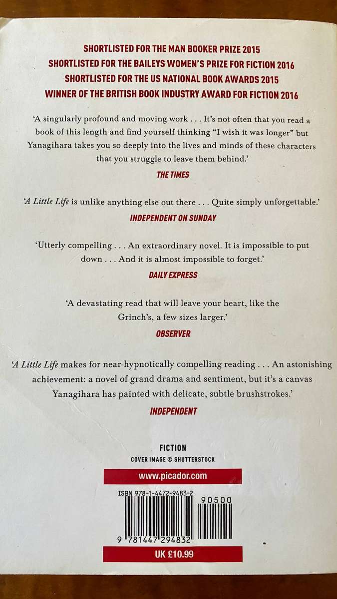 A Little Life by Hanya Yanagihara - Paperback Novel