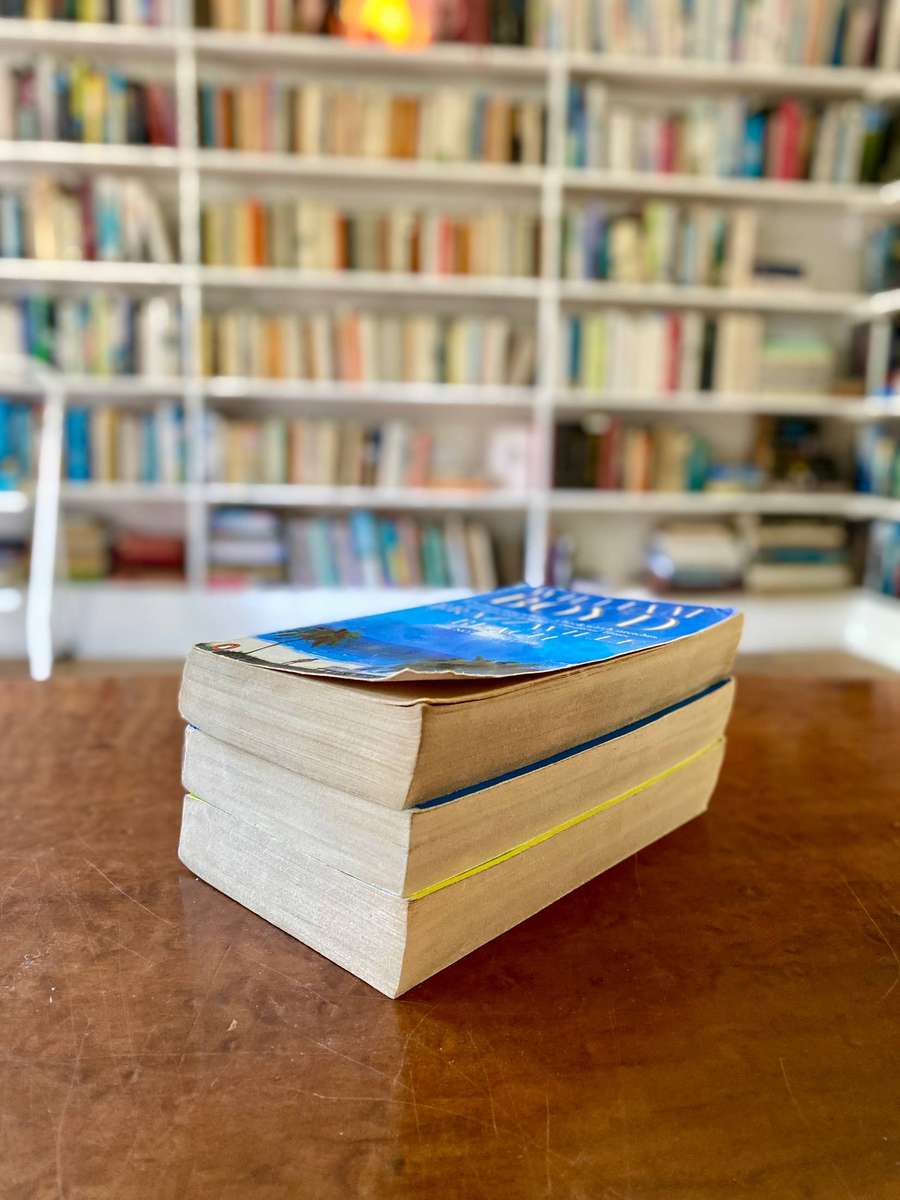 William Boyd 3-Book Bundle: Brazzaville Beach, Stars and Bars, and Armadillo