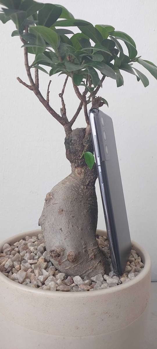 Samsung Galaxy S21 5G