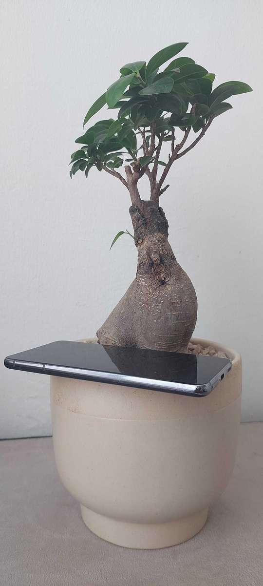 Samsung Galaxy S21 5G