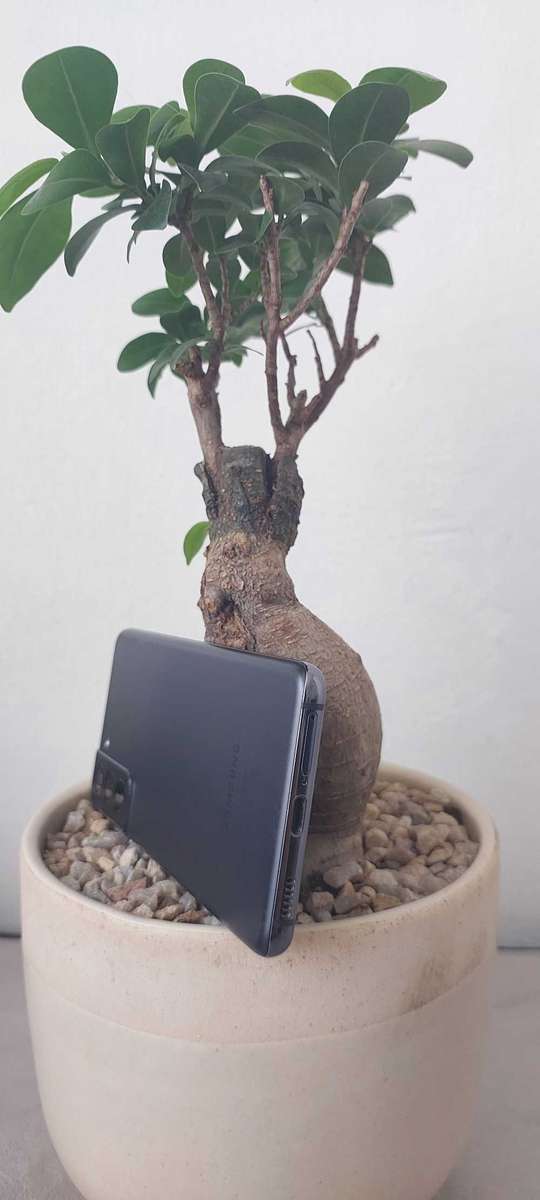 Samsung Galaxy S21 5G