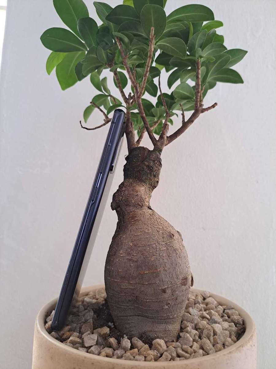 Samsung Galaxy S20 FE 5G