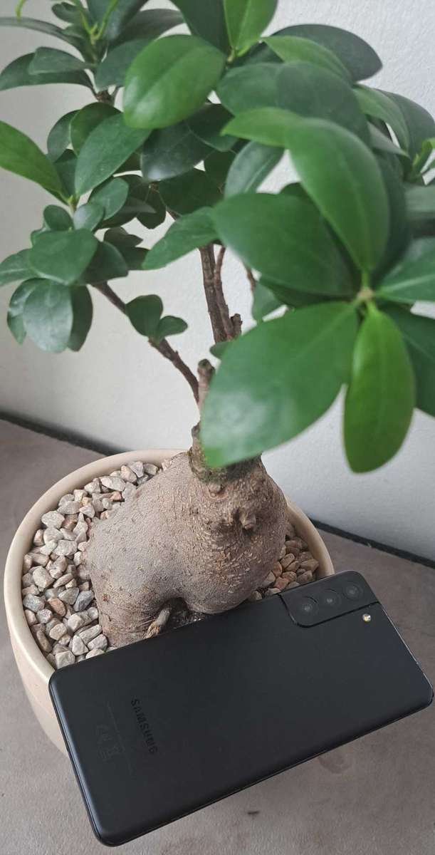 Samsung Galaxy S21 Plus 5G