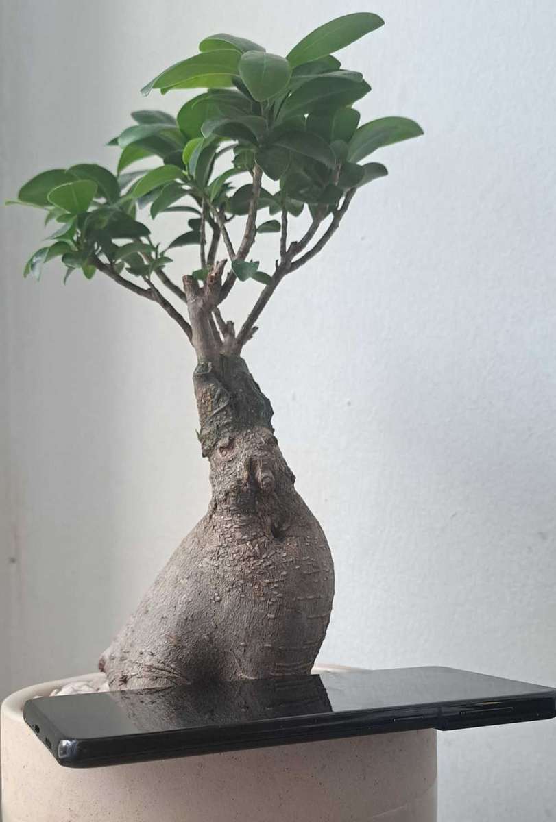 Samsung Galaxy S21 Plus 5G