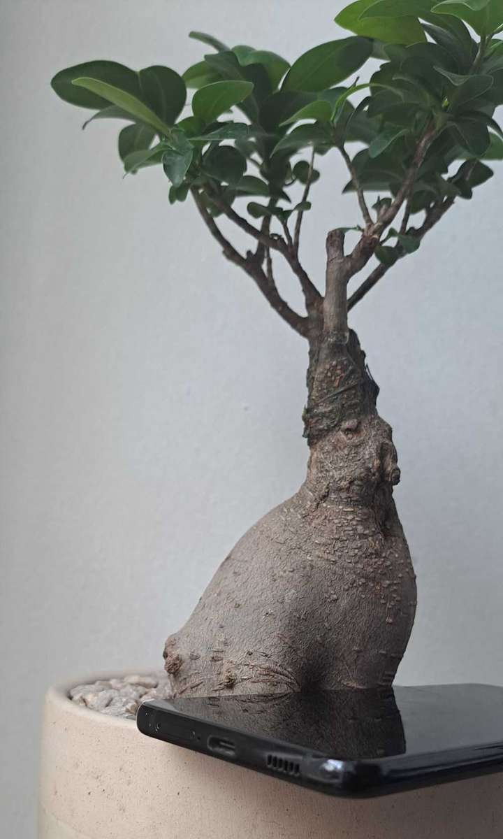 Samsung Galaxy S21 Plus 5G