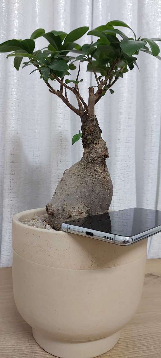 Samsung Galaxy S21 Plus 5G