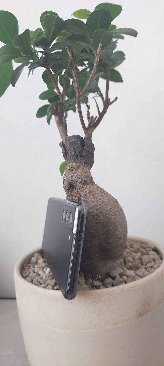 Samsung Galaxy S21 5G