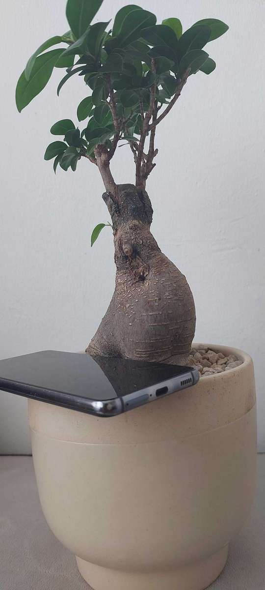 Samsung Galaxy S21 5G