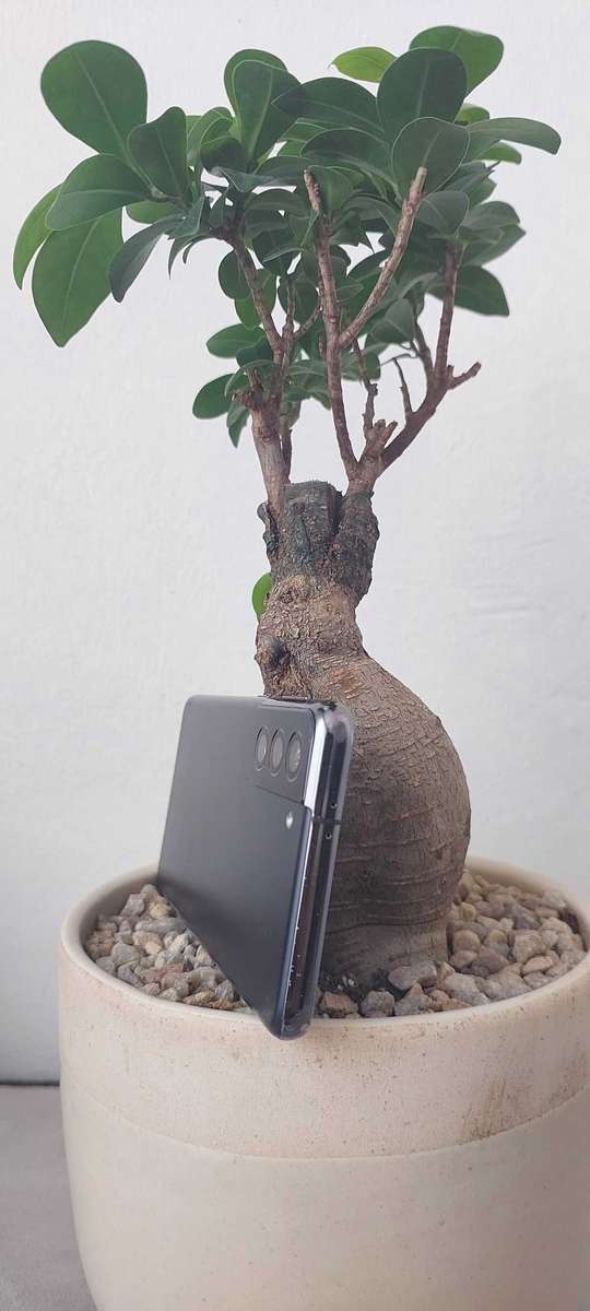 Samsung Galaxy S21 5G