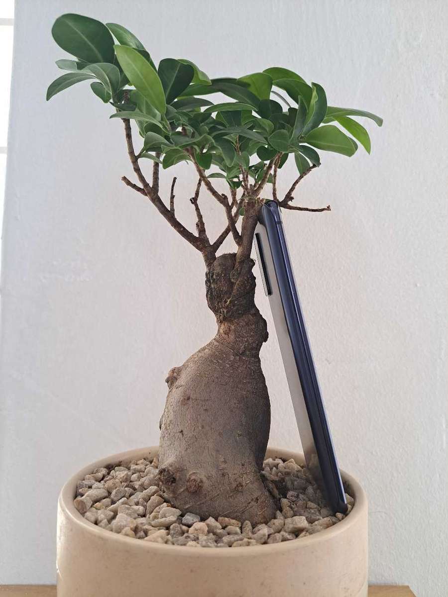 Samsung Galaxy S20 FE 5G