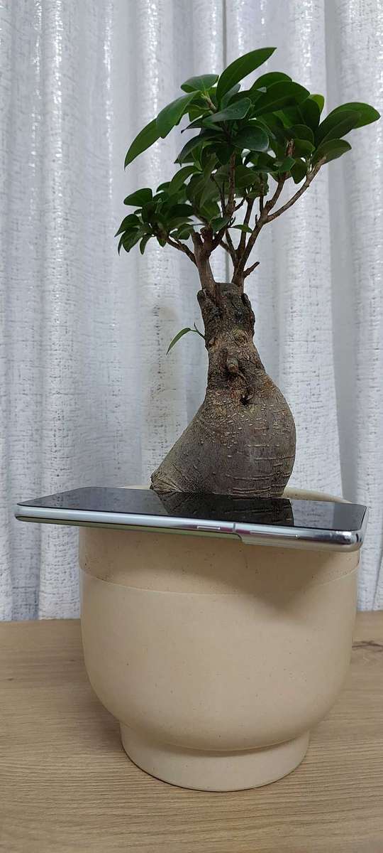 Samsung Galaxy S21 Plus 5G