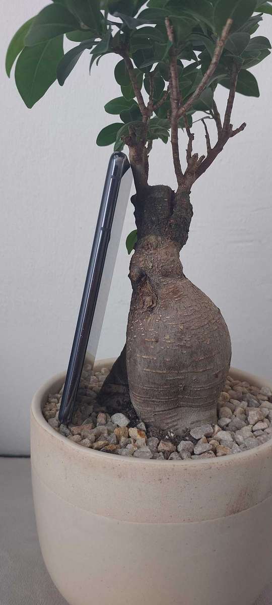 Samsung Galaxy S21 5G