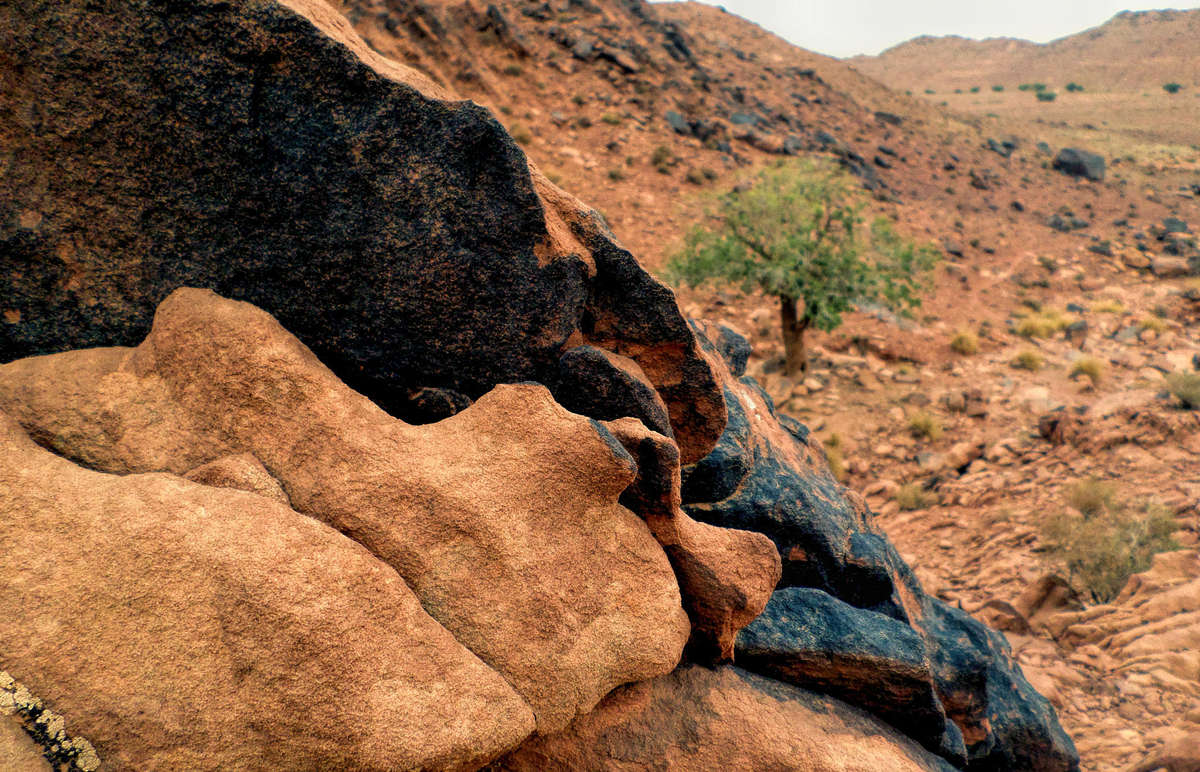 Samsung DV150 digital camera