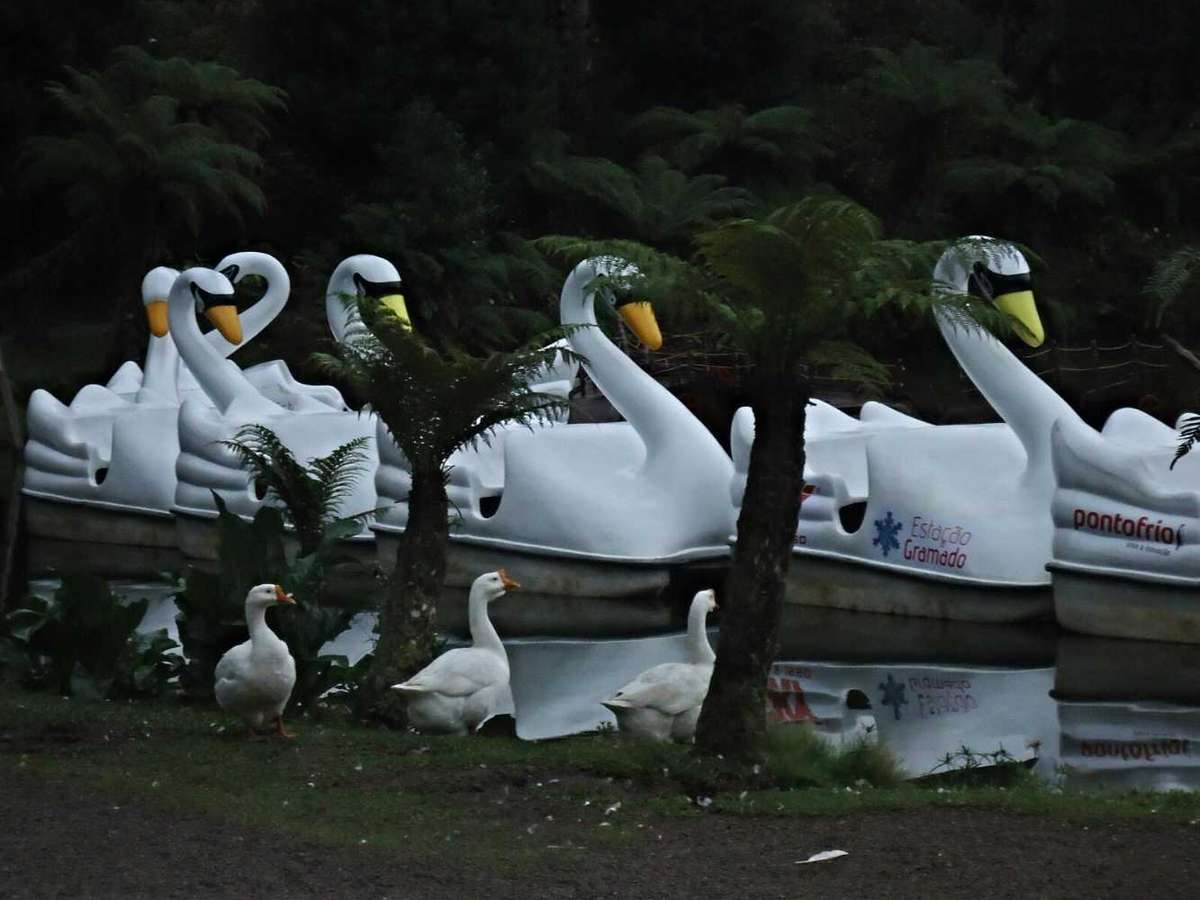 Sony DSC W610 Digital camera bundle