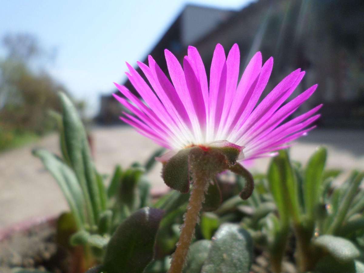 Samsung ST150F digital camera