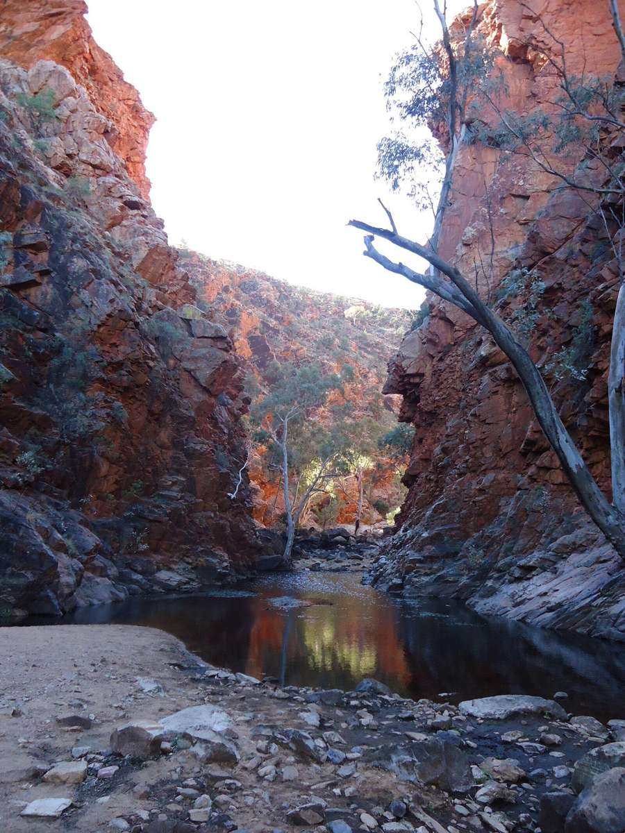 Sony Cybershot DSC W530 Digital camera