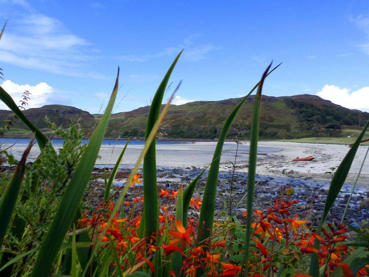 Samsung ST150F digital camera