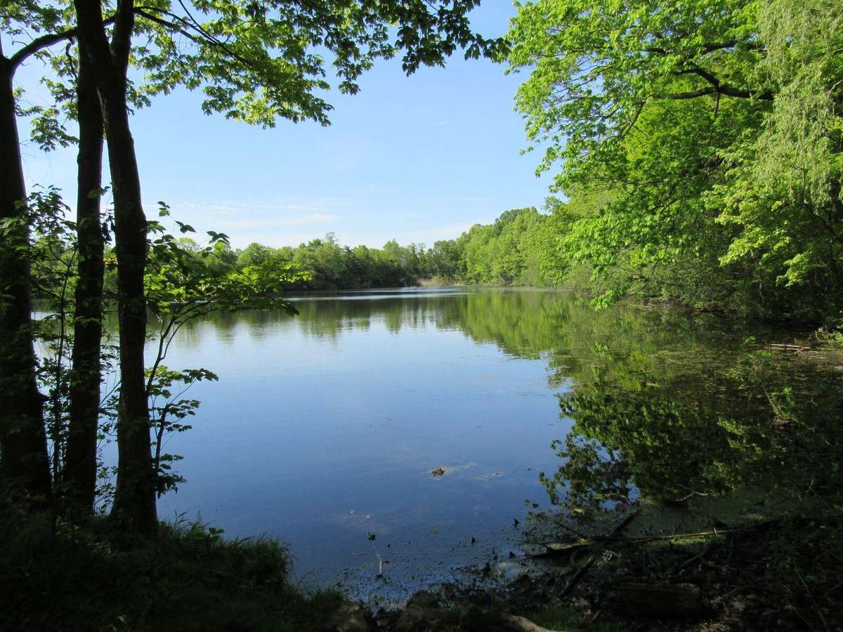 NEW CANON SX520HS Digital Bridge camera