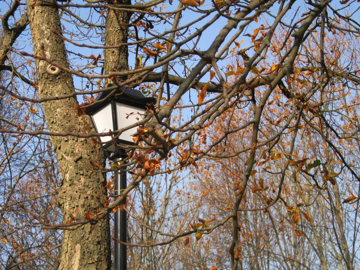 PRISTINE CANON POWERSHOT A2200 DIGITAL