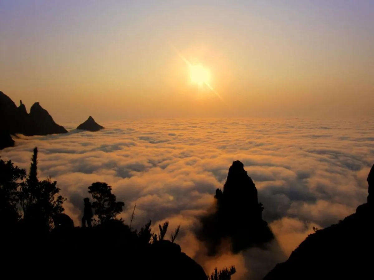 NEW CANON SX520HS Digital Bridge camera