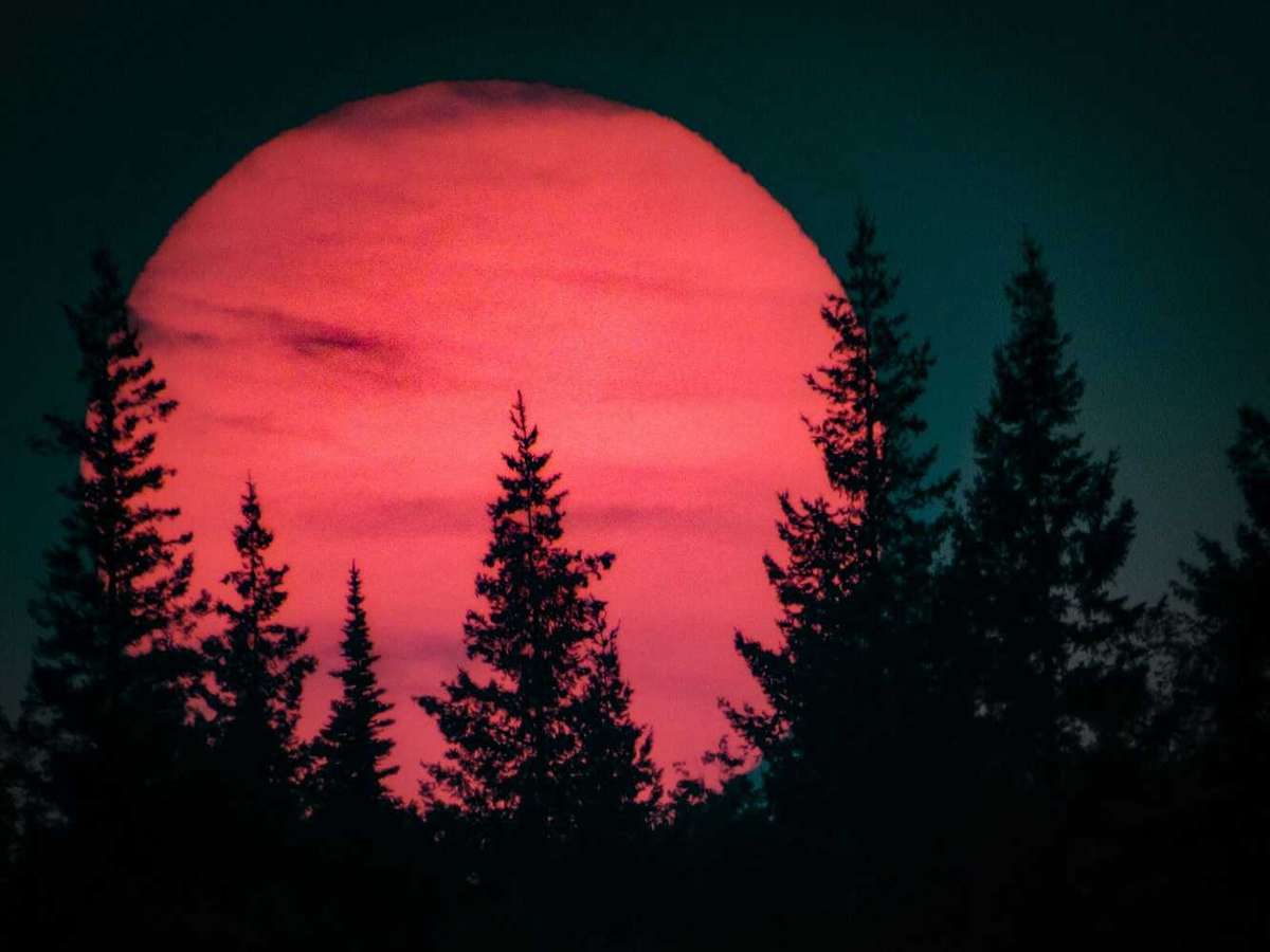 Canon SX530HS wifi Bridge camera