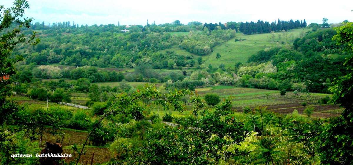 NIKON COOLPIX L25 DIGITAL CAMERA