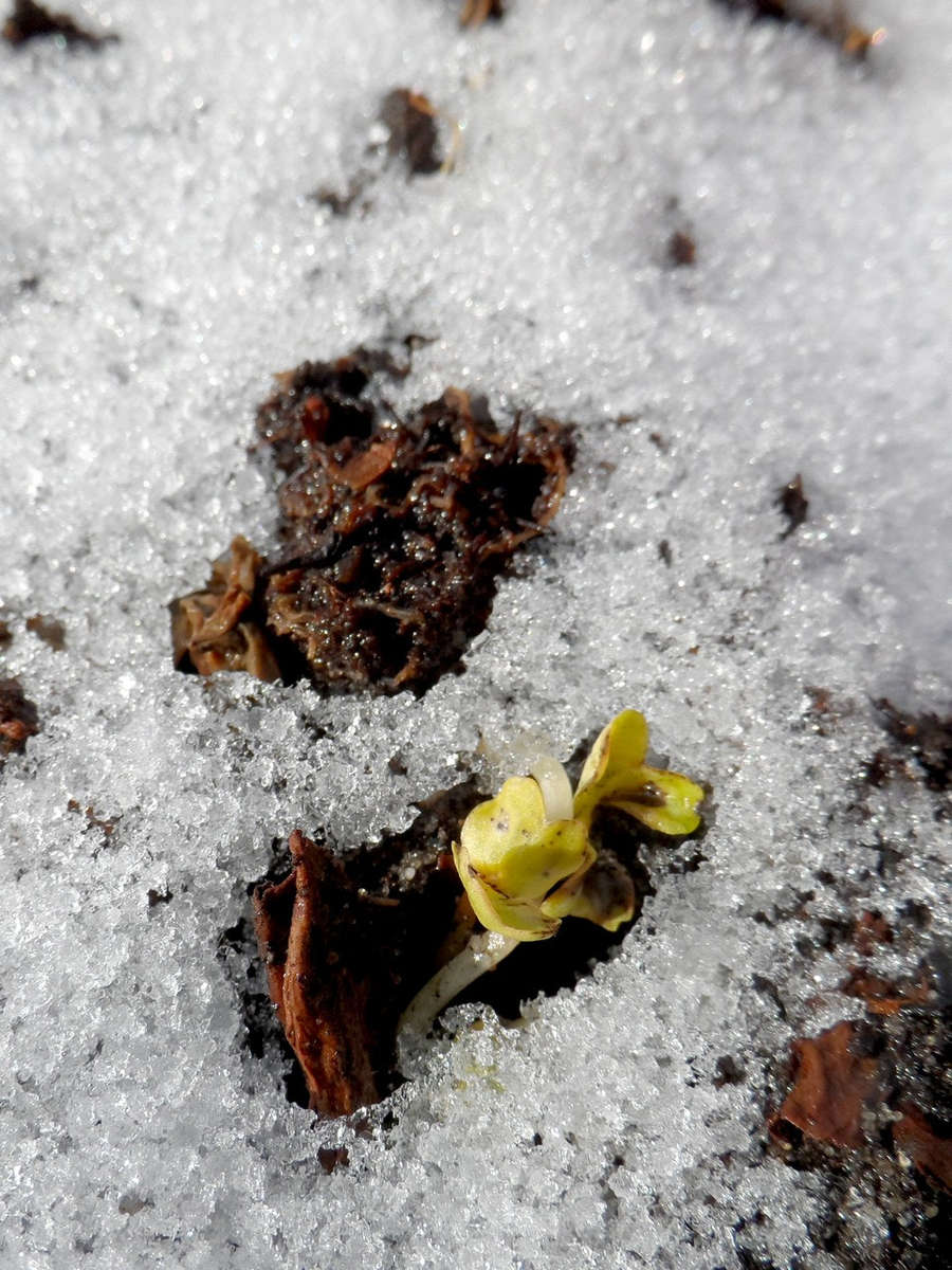 Samsung WB150F DIGITAL CAMERA