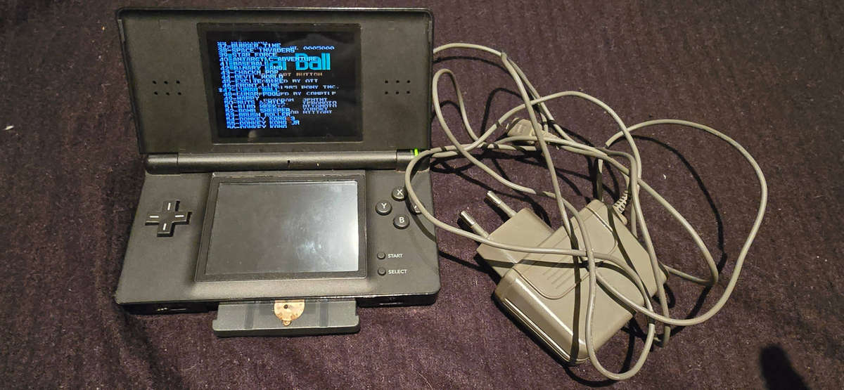 Nintendo DS + Games