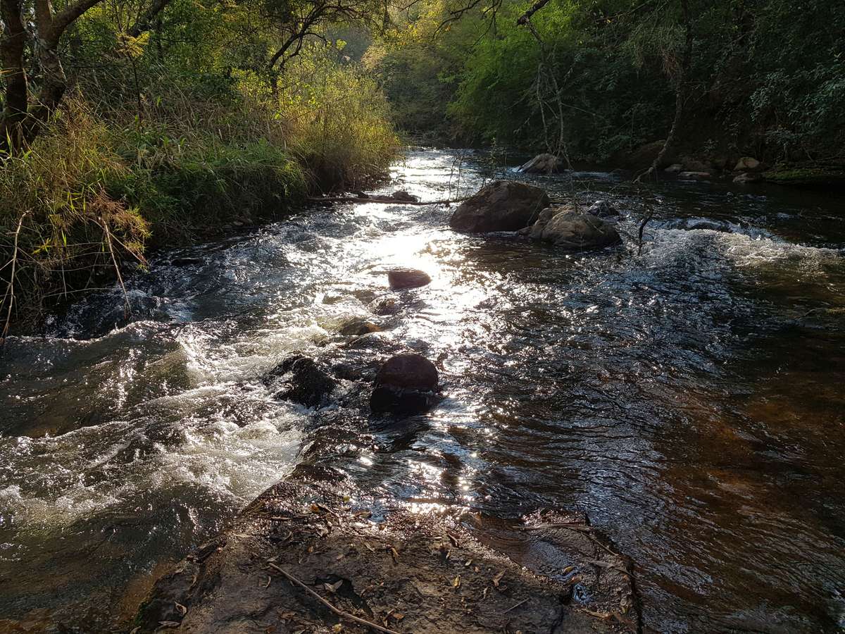 Midweek @ Sudwala (Mpumalanga) 19 - 23 May (4 Sleeper)