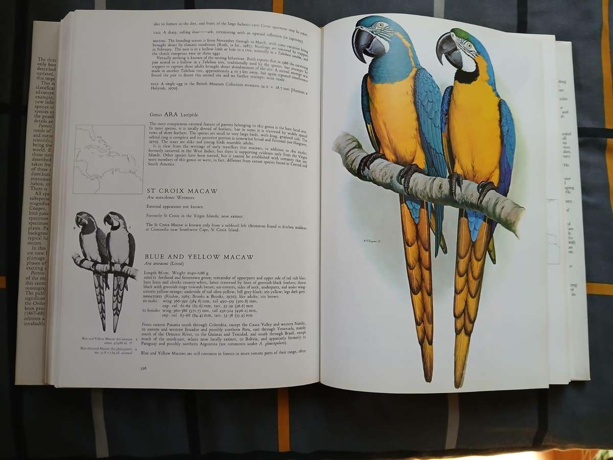 PARROTS OF THE WORLD