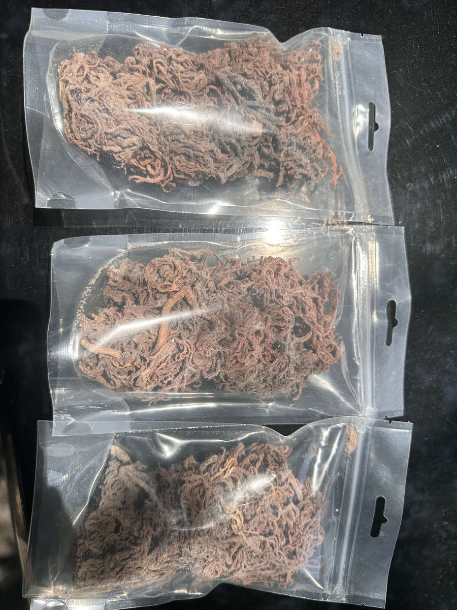 Organic Sea Moss 100 Gram Pouch