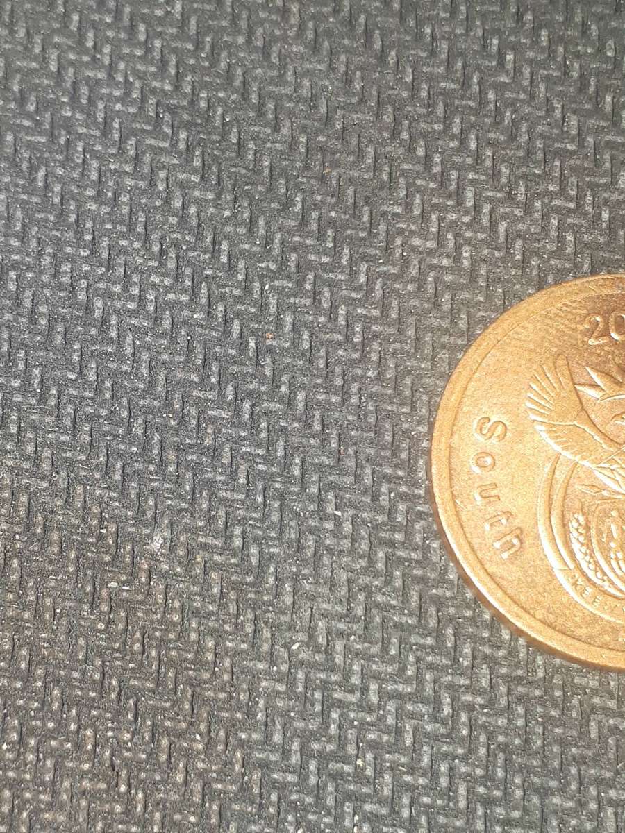 2004 5 cent coin south africw