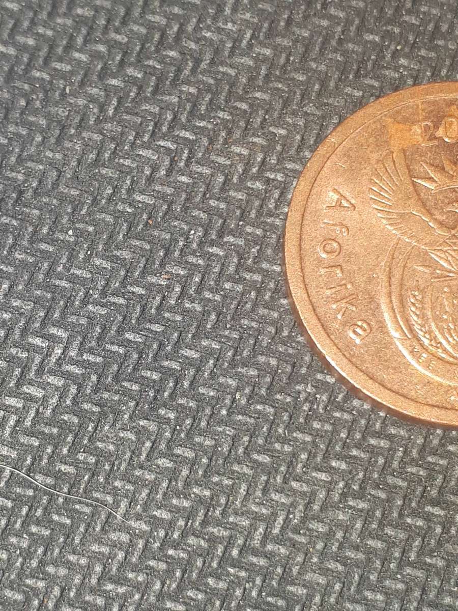 2005 5 cent cpon from sout africa