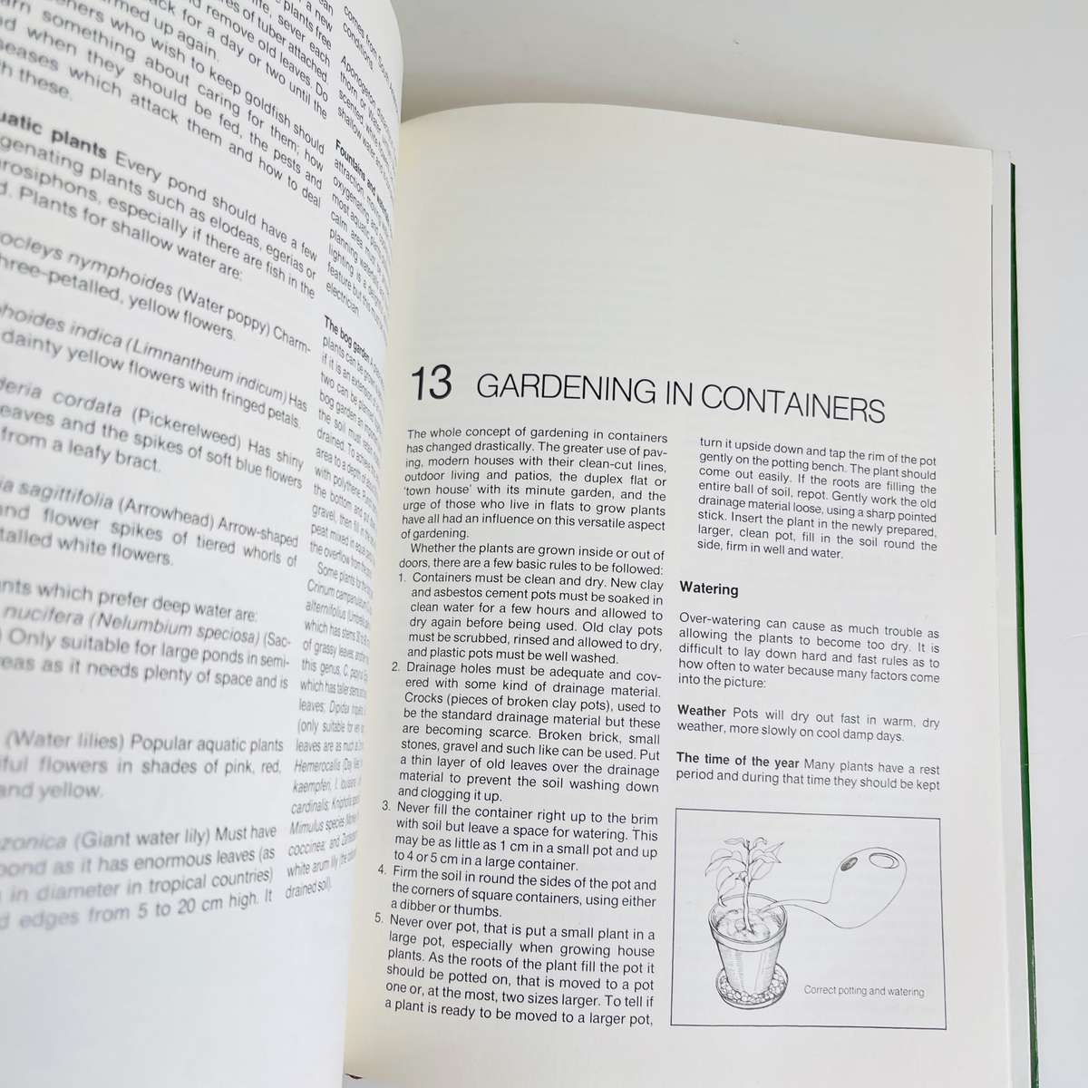 Gardening in South Africa by Zoe Gilbert