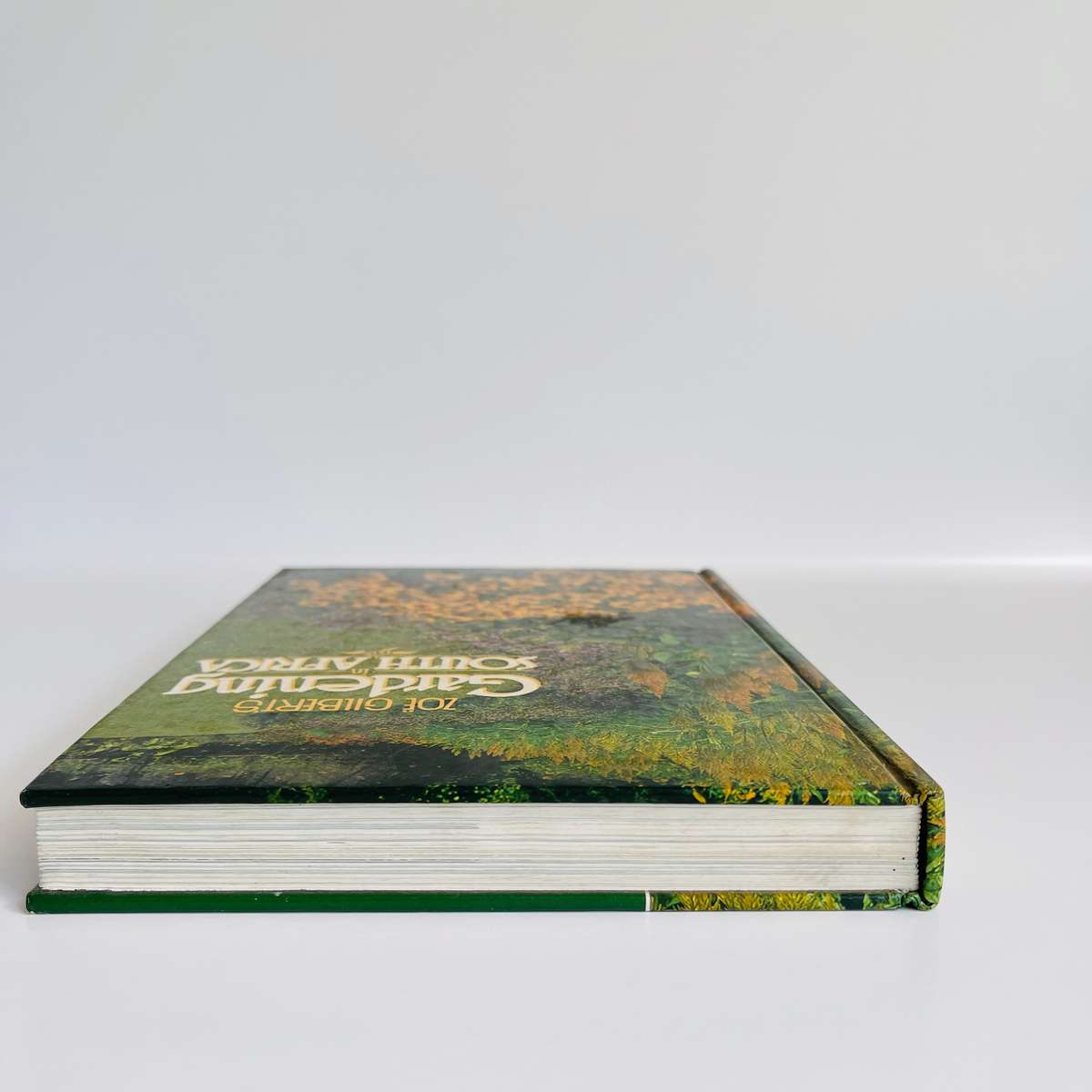 Gardening in South Africa by Zoe Gilbert