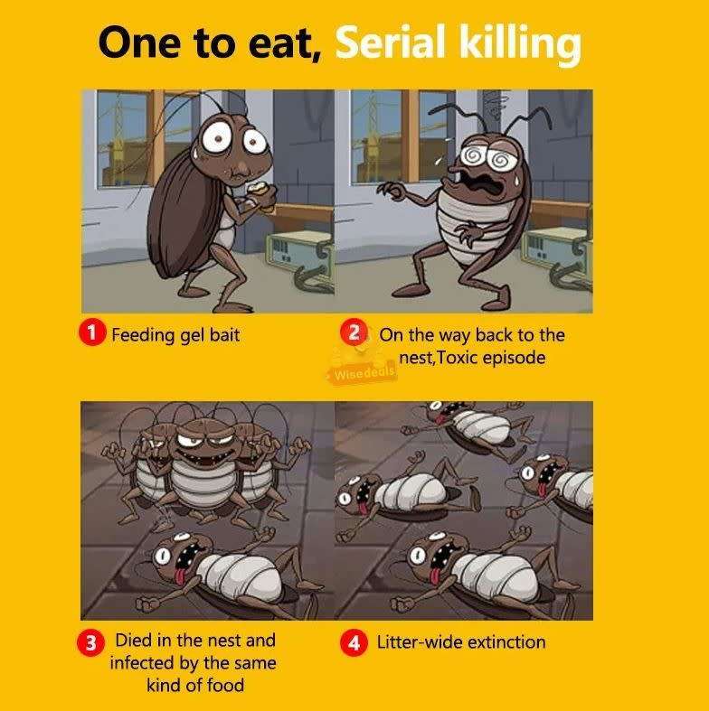 Merlins cockroach syringe 9mg x6 covers 3 bed/lounge/kitchen