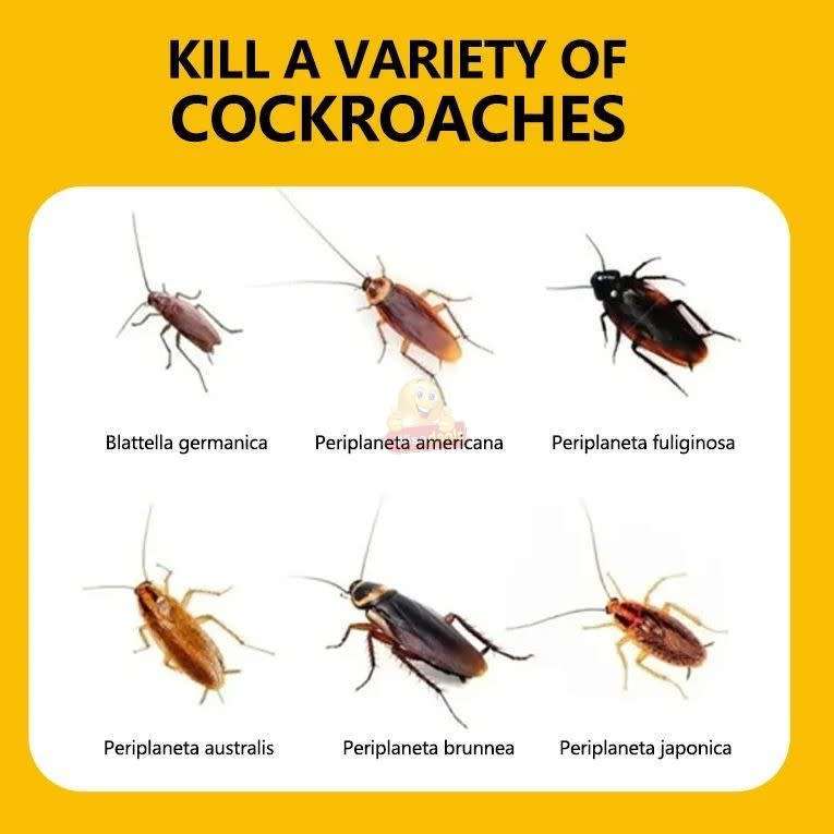 Merlins cockroach syringe 9mg x6 covers 3 bed/lounge/kitchen