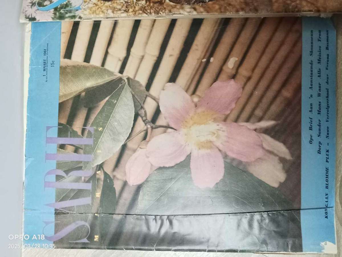 Antique Sarie Magazine